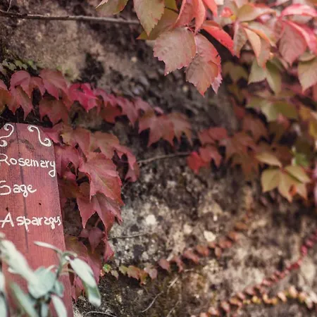 Nuba,con Private Room, Camino A Legna Ogni Comfort, In Campagna A Due Passi Dal Cuore Del Centro Storico Di 公寓 佩鲁贾